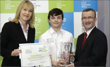 ??  ?? INTERMEDIA­TE WINNER: Cillian Scott from Colaiste Chill Mhantain collects his award from Sheelagh Daly of the LEO and Bryan Doyle, Chief Executive of Wicklow County Council.