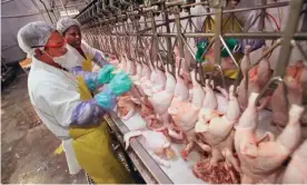  ?? Photograph: Francisco Kjolseth/AP ?? Pilgrim’s Pride chicken processing plant in Marshville, North Carolina.