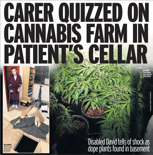  ??  ?? SCARED David and entrance to cellar STASH Cannabis was worth £20,000