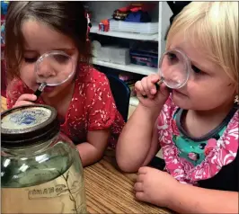  ?? / Contribute­d ?? From left, Annabelle Adams and Nora Hammond inspect jellyfish up close with magnifying glasses.
