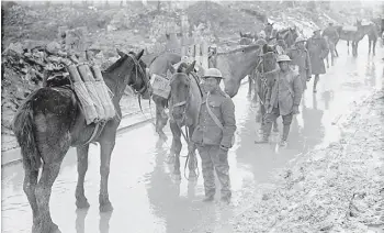  ?? S u p p l i e d/ F i l e ?? Horses transport shells to the 20th Battery, Canadian Field Artillery, in April of 1917.