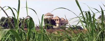  ?? (Lena Masri/Reuters) ?? A HOUSE in the village of Ikyad Dijwi in the Nile Delta.