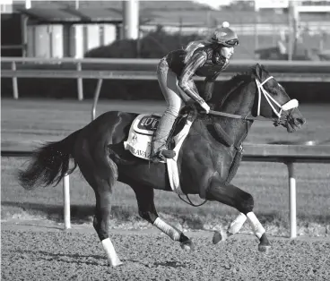  ?? Associated Press ?? ■ In this May 1 file photo, Kentucky Derby hopeful Bravazo runs during a morning workout at Churchill Downs in Louisville, Ky. Hall of Fame trainer D. Wayne Lukas brings back Bravazo, who finished sixth in the Derby, along with Sporting Chance, to take...