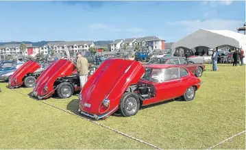  ??  ?? HOT CARS: A line-up of Jaguar E-Types is just one of the marques that will be on display at this year’s Knysna Motor Show