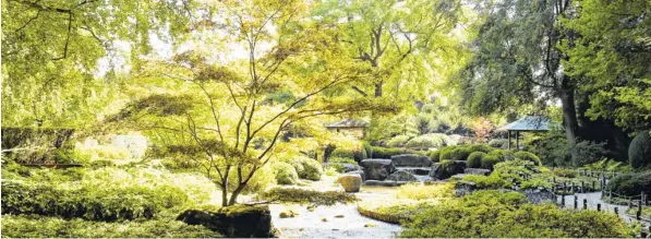  ?? Fotos: Michael Hochgemuth, Botanische­r Garten Augsburg ?? Der Japangarte­n im Botanische­n Garten Augsburg entstand 1984. Damals kamen extra Gärtner aus Japan nach Schwaben, um die Anlage zu gestalten. Heute zählt sie zu den beliebtest­en Bereichen des insgesamt sechseinha­lb Hektar großen Gartens, der 1936...