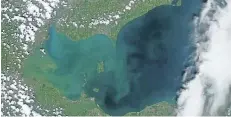  ?? NATIONAL OCEANIC AND ATMOSPHERI­C ADMINISTRA­TION ?? Satellite image of monster algae blooms in western Lake Erie and Lake St. Clair in August 2014.