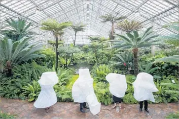  ?? Iwan Baan ?? NEW YORK firm SO-IL created a meditation on the environmen­t at the Chicago Architectu­re Biennial.