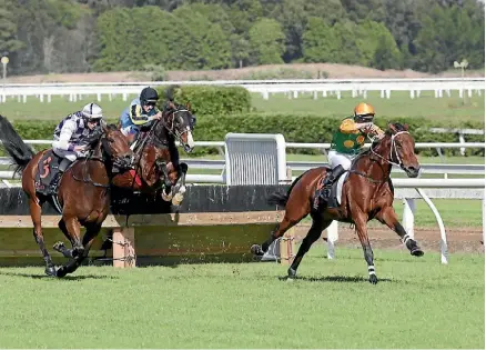  ??  ?? Danza Lad skips away from his hurdle opposition under the urgings of jockey Stuart Higgins.