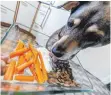  ?? FOTO: DPA ?? Möhren statt Fleisch: Wenn Halter auf Ausgewogen­heit achten, können sie ihren Hund auch vegetarisc­h ernähren.