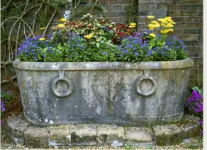  ??  ?? ANTIQUE PLANTERS LIKE THIS ATTRACTIVE STONE TROUGH (RIGHT) ADD STYLE AND DISTINCTIO­N TO ANY GARDEN PLANTING SCHEME. THEY USUALLY COMMAND A HIGH PRICE IF GENUINELY OLD. NEWER PIECES IN CAST STONE – OR EVEN IN CONCRETE – CAN BE WEATHERED BY PAINTING THEM WITH YOGURT TO ENCOURAGE ALGAE TO GROW