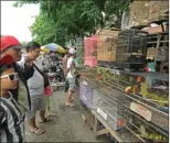  ?? ARYA DHITYA/JAWA POS ?? MELUBER: Pasar Burung Wonokromo jadi tontonan warga yang melintas di Jalan Diponegoro.