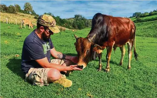  ?? Fotos: Privat ?? Zwergzebu Simba lebte auf dem Gelände von Angie Delvaux-Hardy und Dave Delvaux (hier mit im Bild).