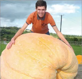  ??  ?? Michael Byrne from Togher with his 529kg National Champion Punkin at the Collon weight in last year.