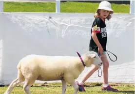  ?? ?? Alexis McLeod, 7, from Koputaroa School, shows how well her lamb Bella is trained at the Horowhenua Agricultur­e Club finals.