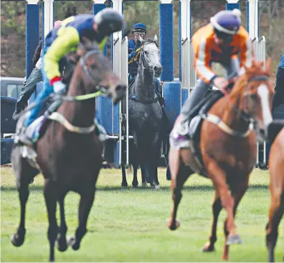  ?? Picture: MICHAEL KLEIN ?? SEE YOU LATER: Fellow jockeys look around as Dwayne Dunn is stranded on Chautauqua.