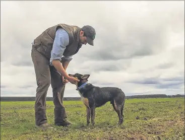  ??  ?? WORKING ATHLETE: Jandre Slabbert and Rex at Grassdale.