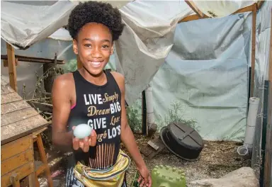  ??  ?? ABOVE: Chicago Eco House works with youth in West Woodlawn to transform vacant lots into fruit, vegetable and flower farms. New in 2019: beekeeping.