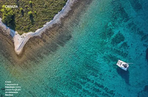  ??  ?? Il mare trasparent­e di Palmižana. Sotto, pranzo fra gli ulivi del ristorante Bacchus.