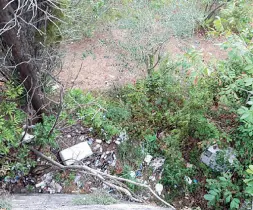  ??  ?? Una lavatrice e i rifiuti lasciati nel giardino sotto la curva di Bellosguar­do