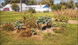  ??  ?? Local gardeners are invited to partake in the eighth gardening season in Vandalia.