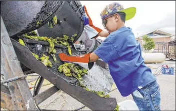  ?? Gabriela Campos The Associated Press file ?? Chris Duran Jr., 7, helps roast green chiles with his family in 2017 outside the Big Lots in Santa Fe, N.M. Officials said a hybrid version of a New Mexico chile plant has been selected to be grown in space as part of a NASA experiment.