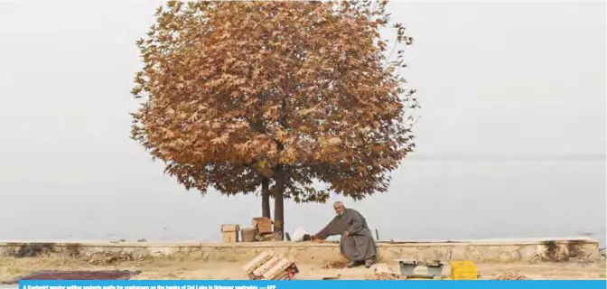  ?? — AFP ?? A Kashmiri vendor selling walnuts waits for customers on the banks of Dal Lake in Srinagar yestreday.