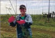  ?? SARAH RACHOR VIA AP ?? Sarah Rachor uses a tractor from 1998 because it was before new technology was installed in farm equipment.