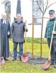  ??  ?? Geschafft, der Luther-baum steht! Von links: Schuldekan Dr. Harry Jungbauer, Bürgermeis­ter Michael Stütz und Hermann Eberhardt. Weitere Fotos gibt’s auf www.hz.de/bilder. Foto: Helmut Pflanz