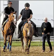  ?? AP/STEVE HELBER ?? (left) is led back to the barn as trainer Bob Baffert (far right) watches during Friday’s training for today’s Preakness Stakes in Baltimore.