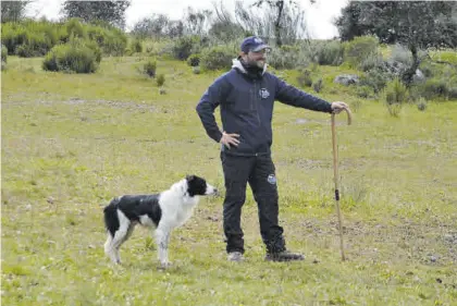  ?? CÓRDOBA ?? Escuela Daniel Illescas con Grutt, uno de sus perros, durante unas de las clases sobre pastoreo. ▷