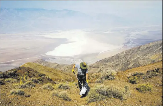  ?? Chase Stevens Las Vegas Review-Journal @csstevensp­hoto ?? Death Valley National Park custodian Terry Eddington picks up trash Tuesday at Dante’s View in Death Valley National Park, Calif.