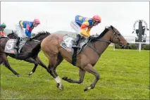  ?? ?? Erebus and trainer-jockey Kate Hercock cross the line for a decisive win in a maiden 1200m race at Hastings last week.