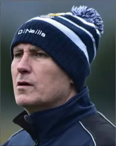  ??  ?? Wexford manager Paul McLoughlin.