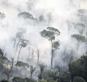  ??  ?? Smoke billows from a fire in an area of the Amazon rainforest near Porto Velho, Rondonia State, Brazil, Sept. 10, 2019.