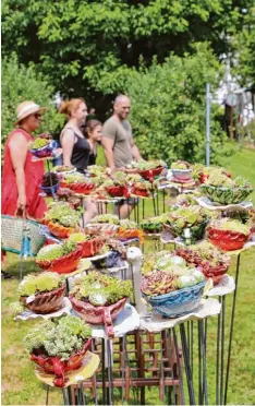  ??  ?? Zahlreiche Dekoartike­l für Haus und Garten konnte man im Kreislehrg­arten erwer ben.