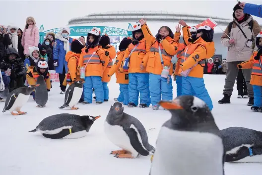  ?? ?? Children from south China’s Guangxi Zhuang Autonomous Region take a close look at penguins as they visit the Harbin Polarpark in the capital of northeast China’s Heilongjia­ng Province on January 6. — Xinhua