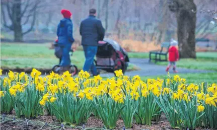  ?? RYAN TAPLIN • THE CHRONICLE HERALD ?? A family obeying the one-household rule for outdoor activities passes by a bed of daffodils in the Halifax Public Gardens during a rainy morning stroll on Monday.