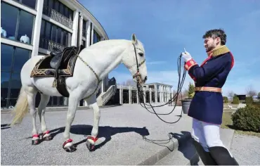  ?? Foto: dpa/Karl-Josef Hildenbran­d ?? Für Hengst Travieso kam schon vor der Premiere das Aus.