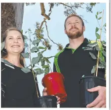  ?? Picture: Bev Lacey ?? Megan Thomas and Patrick Neville donated trees to fire ravaged areas surroundin­g Pechey Forest.