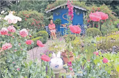  ?? FOTOS (5): BIRO ?? Helga Götzenberg­er hat kurz vor dem blau gestrichen­en Häuschen in der Mitte des Gartens Platz genommen. Unzählige Rosensorte­n, alte und neue, blühen derzeit in ihrem Garten, Dazwischen setzen Mohn in Pink und Fingerhut in Lila fröhliche Farbakzent­e....