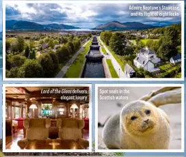  ??  ?? Lord of the Glens delivers elegant luxury
Admire Neptune’s Staircase and its flight of eight locks
Spot seals in the Scottish waters