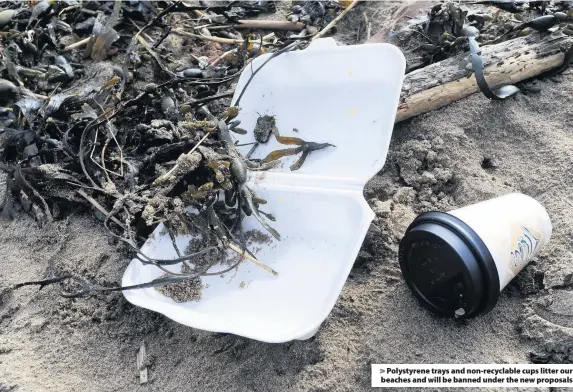  ??  ?? > Polystyren­e trays and non-recyclable cups litter our beaches and will be banned under the new proposals