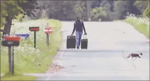  ?? CP PHOTO ?? Dulne Brutus, of Haiti, tows his luggage down Roxham Road in Champlain, N.Y., while heading to an unofficial border station across from Saint-Bernard-de-Lacolle, Que.