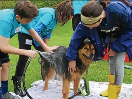  ?? PHOTO PROVIDED ?? Students from East Greenbush Central School District wash a dog during its 2017dog wash and walk fundraiser.