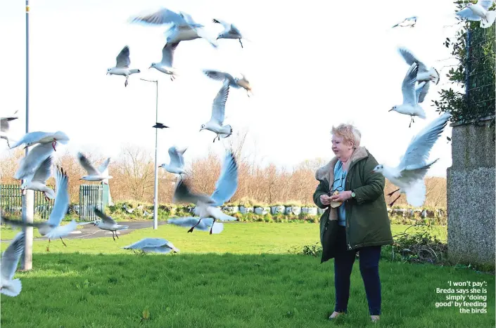  ??  ?? ‘I won’t pay’: Breda says she is simply ‘doing good’ by feeding the birds