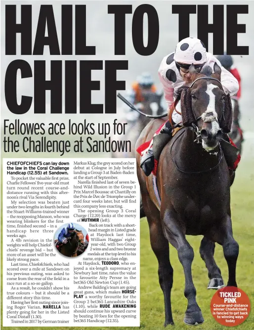  ??  ?? TICKLED PINK Course-and-distance winner Chiefofchi­efs is fancied to get back to winning ways today