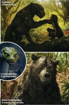  ??  ?? Bagheera (Christian Bale). La serpiente Kaa (Cate Blanchett). Baloo (Andy Serkins) le enseña a ser un lobo.