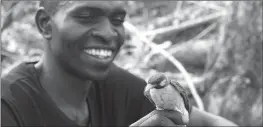  ?? Associated Press ?? Yao honey-hunter Orlando Yassene holds a male greater honeyguide temporaril­y captured for research in the Niassa National Reserve, Mozambique.