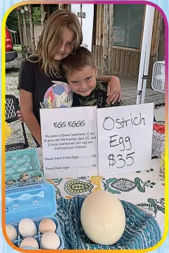  ?? ?? Siblings Emma and Gus are two entreprene­urs who are natural salespeopl­e. The brother-sister duo take care of their chickens and sell the eggs.