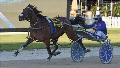  ?? Photo / Peter Rubery ?? Amazing Dream is a threat in the $180,000 NZ Pacing Free-For-All today.